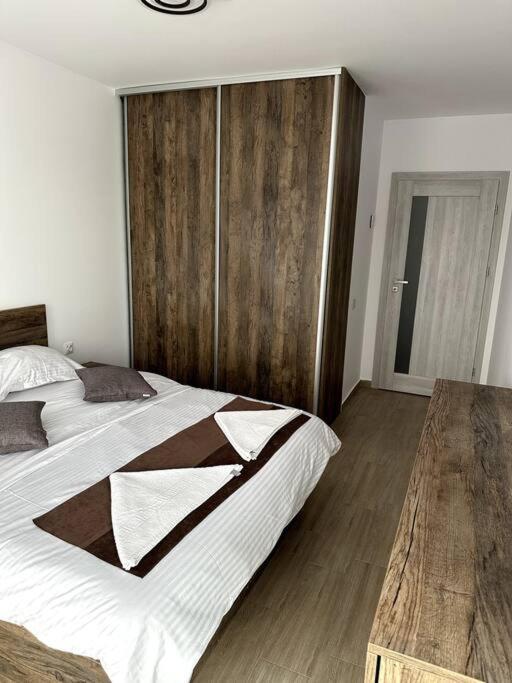 Central River Apartment Cluj-Napoca Extérieur photo